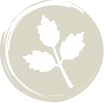 Button beige Button beige