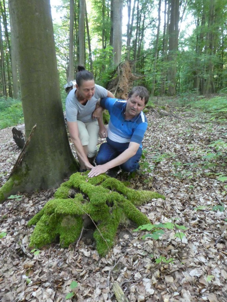 P1070014 1 komplette Entspannung, alles schön „weich“ und „im Fluss“ - ein toller Tag mit ganz neuen Walderfahrungen